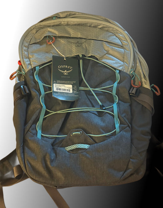 Osprey Quasar Commuter Backpack, Silver Lining/Tunnel Vision Pop